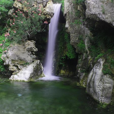 Nomadara - Boutique B&B Coín Εξωτερικό φωτογραφία