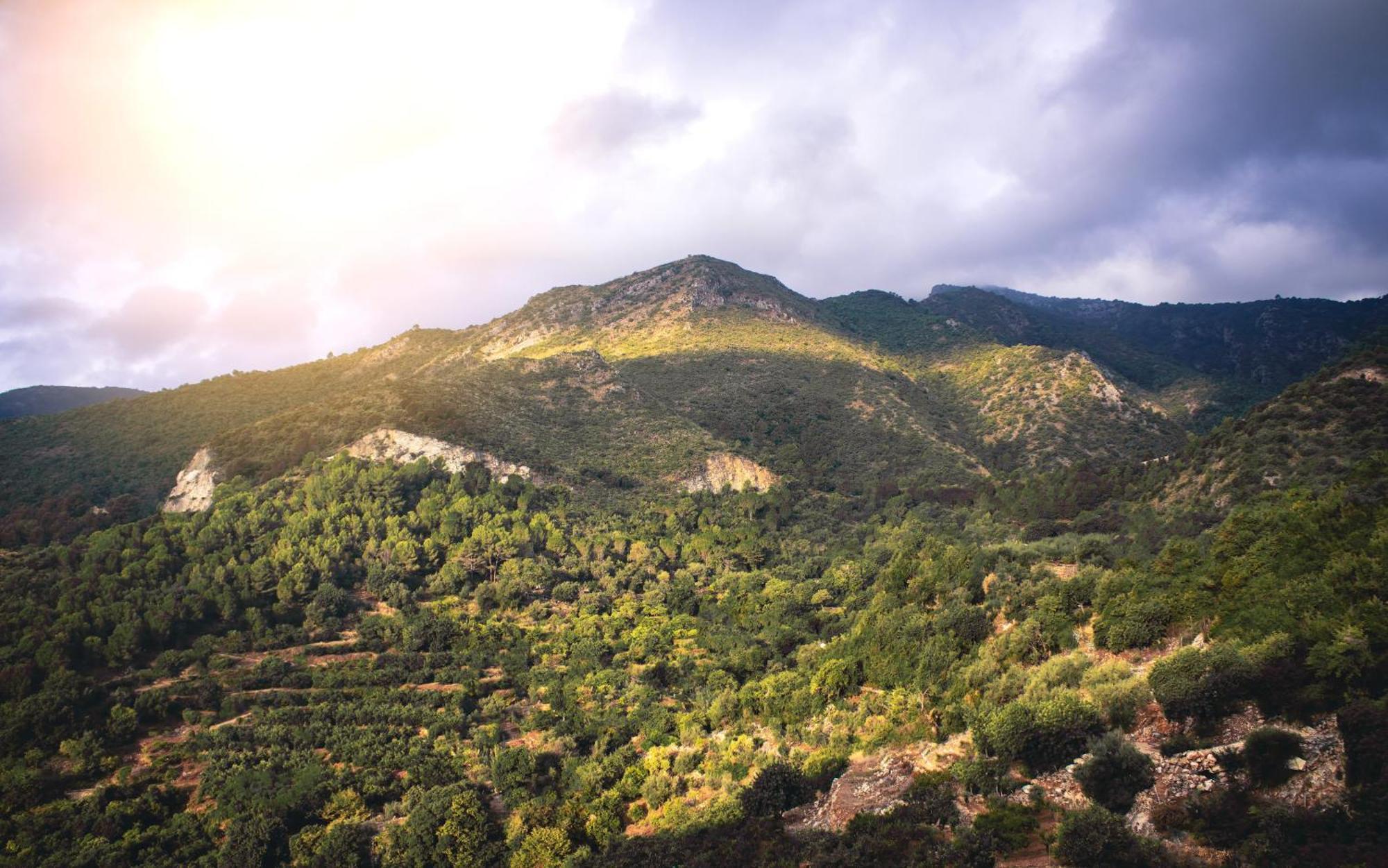 Nomadara - Boutique B&B Coín Εξωτερικό φωτογραφία